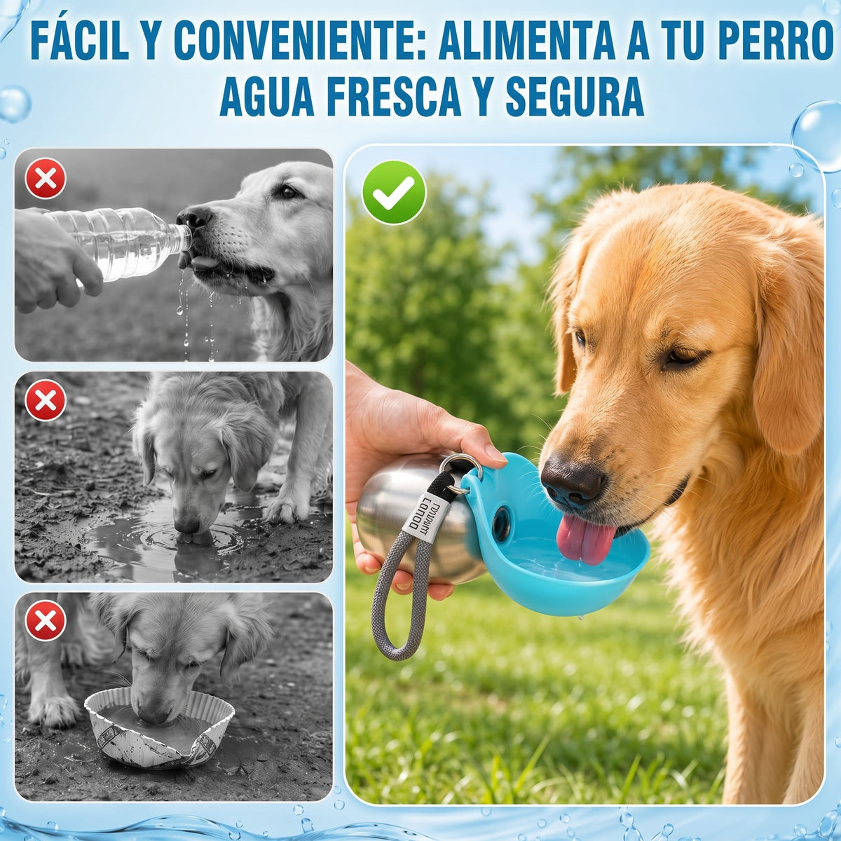 Botella De Agua 2 En 1 Para Perros — Acero Inoxidable 304, 285 Ml, Bol Plegable De Silicona Y Cierre Antiderrame