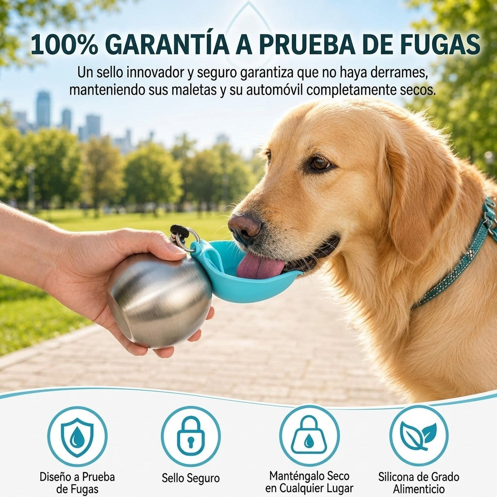 Botella De Agua 2 En 1 Para Perros — Acero Inoxidable 304, 285 Ml, Bol Plegable De Silicona Y Cierre Antiderrame