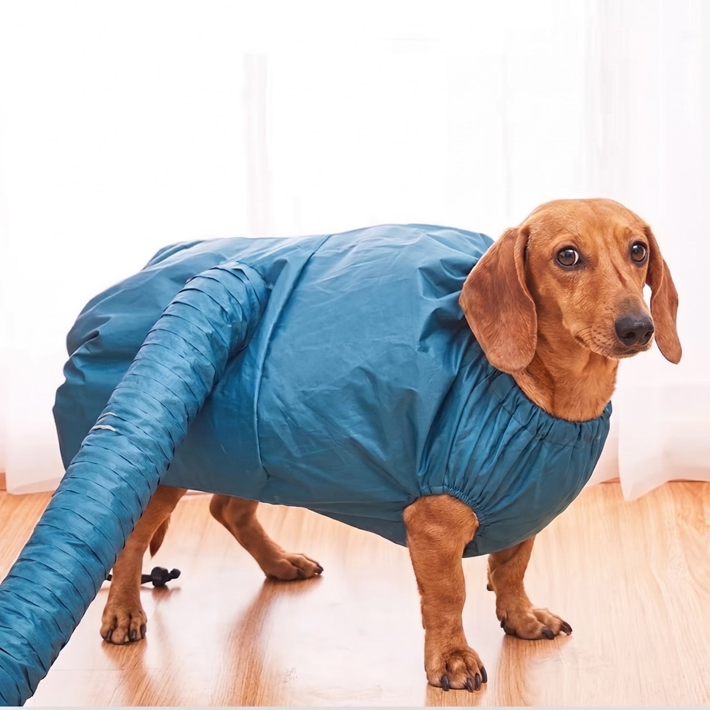 Bolsa Secadora Portátil Para Perros Y Gatos